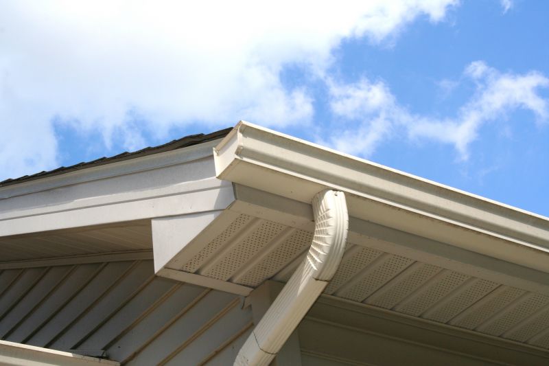 Gutter and Downspout Repairs