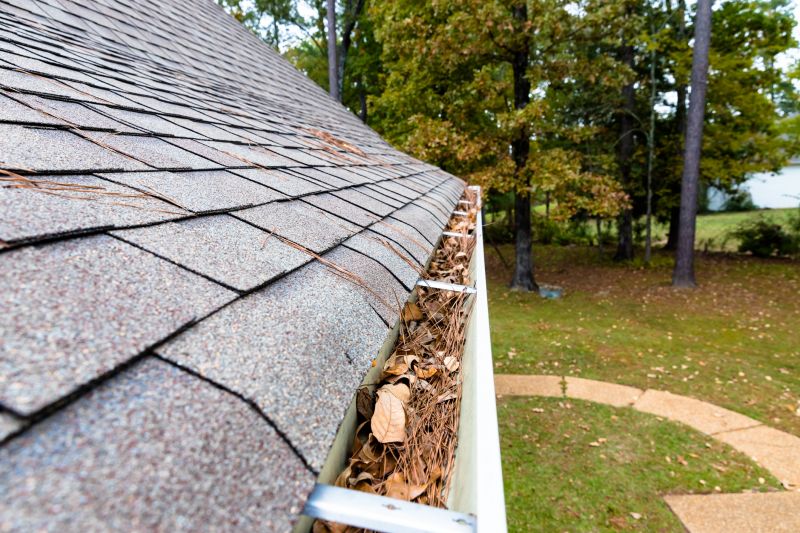 Gutter Maintenance